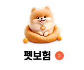펫보험