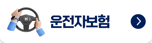 운전자보험