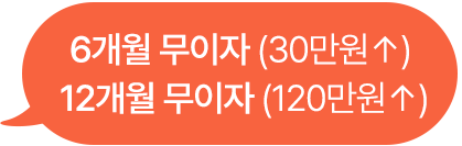6개월 무이자 (30만원↑)12개월 무이자 (100만원↑)