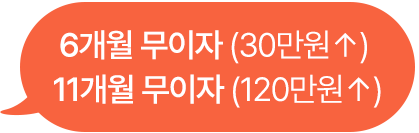 6개월 무이자 (30만원↑)11개월 무이자 (100만원↑)