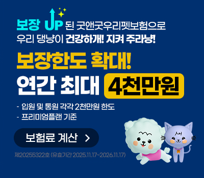 현대해상 굿앤굿우리펫보험 개정