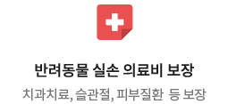 반려동물 실손 의료비 보장 치과치료, 슬관절, 피부질환  등 보장
