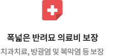 폭넓은 반려묘 의료비 보장, 치과치료, 방광염 및 복막염 등 보장